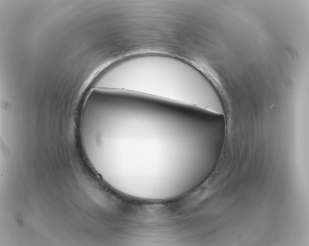 X0000091190108200708091029