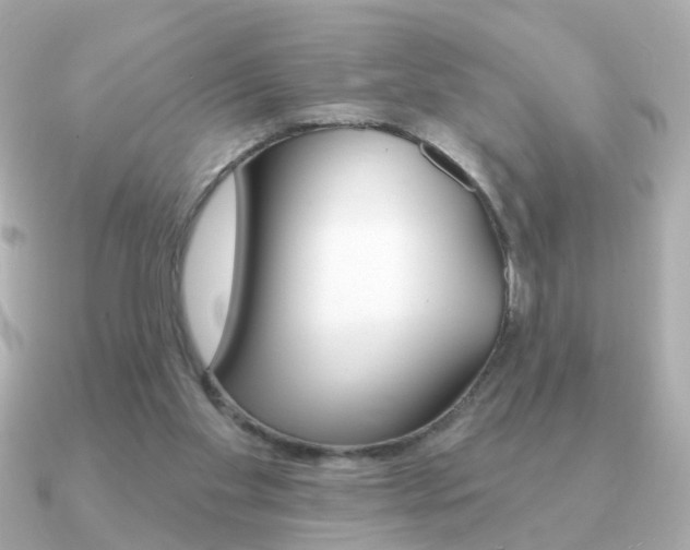 X0000091190109200708091029