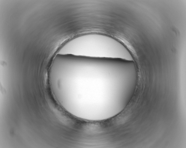 X0000091190110200708091029