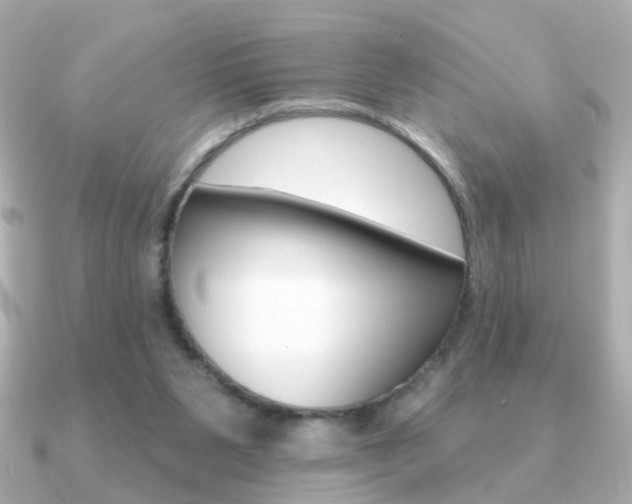 X0000091190111200708091029