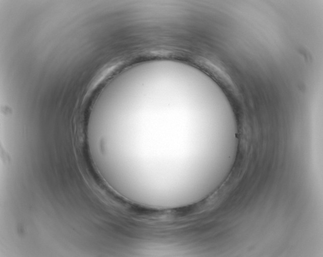 X0000091190116200708091029