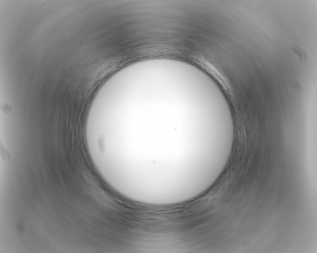 X0000091190117200708091029