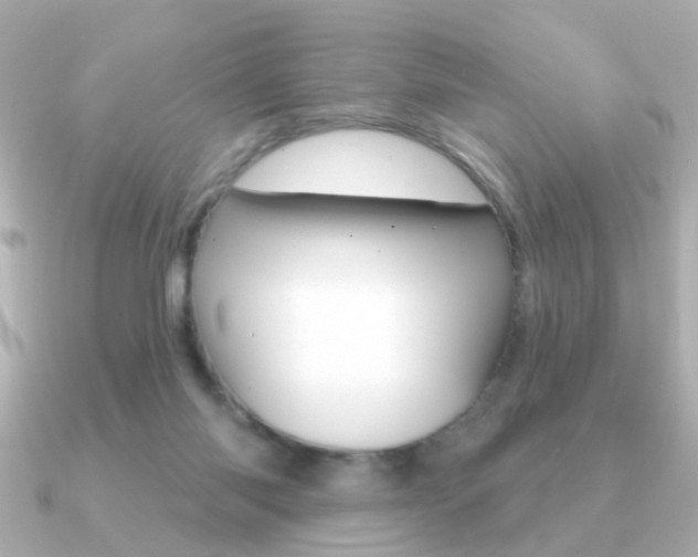X0000091190118200708091029