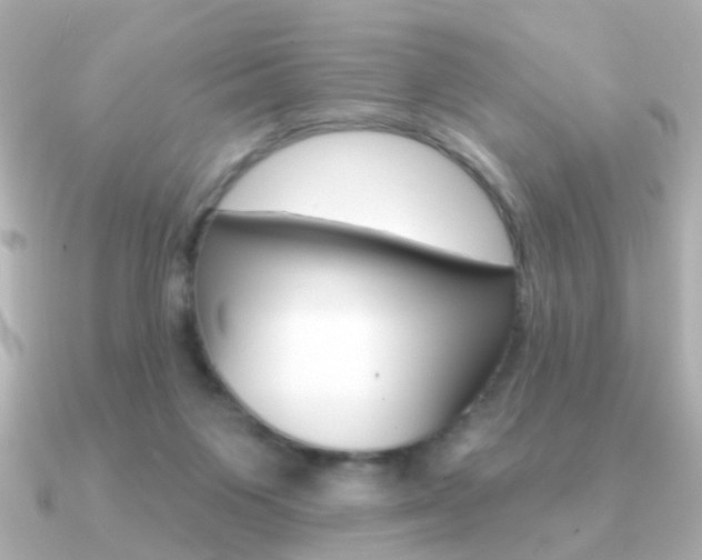 X0000091190119200708091029