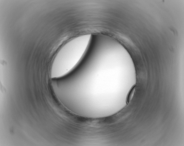 X0000091190120200708091029