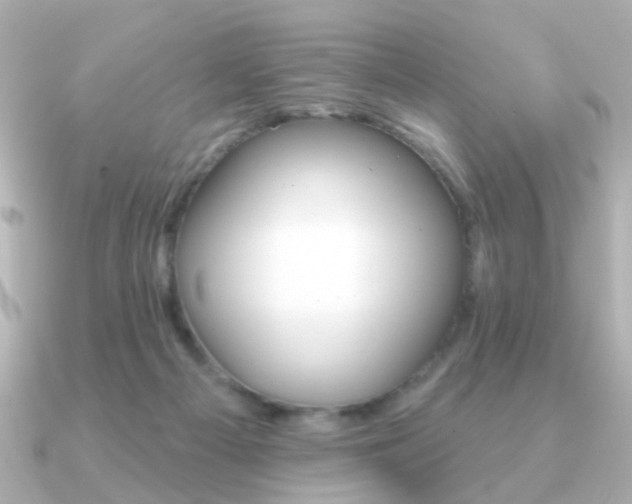 X0000091190121200708091029