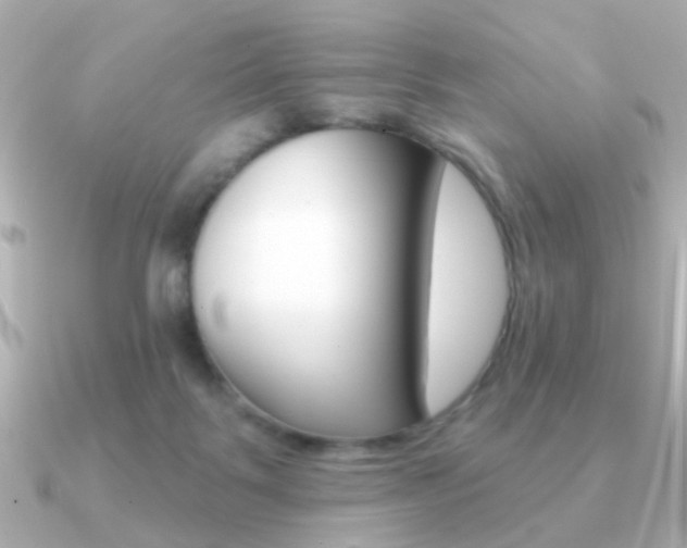 X0000091190123200708091029