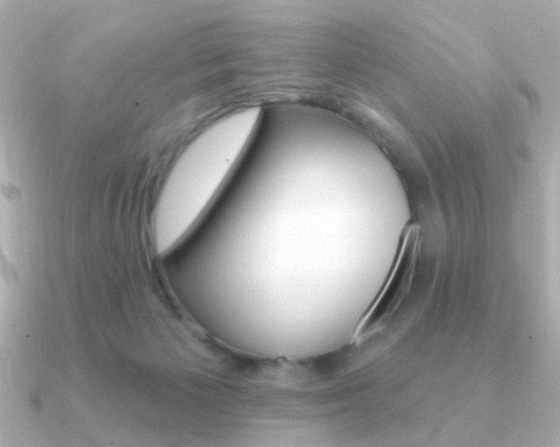 X0000091190125200708091029