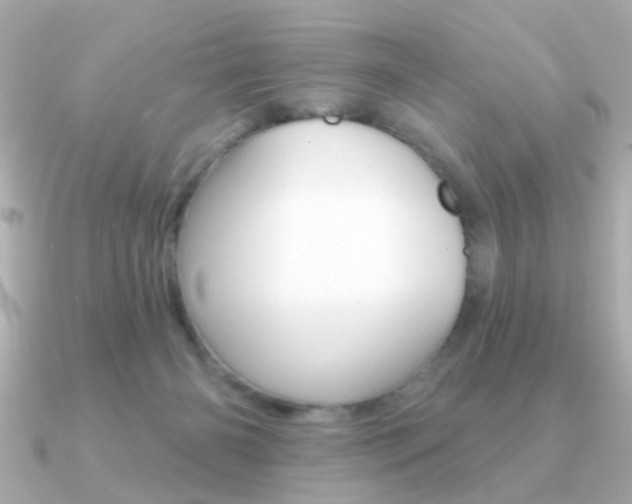 X0000091190126200708091029