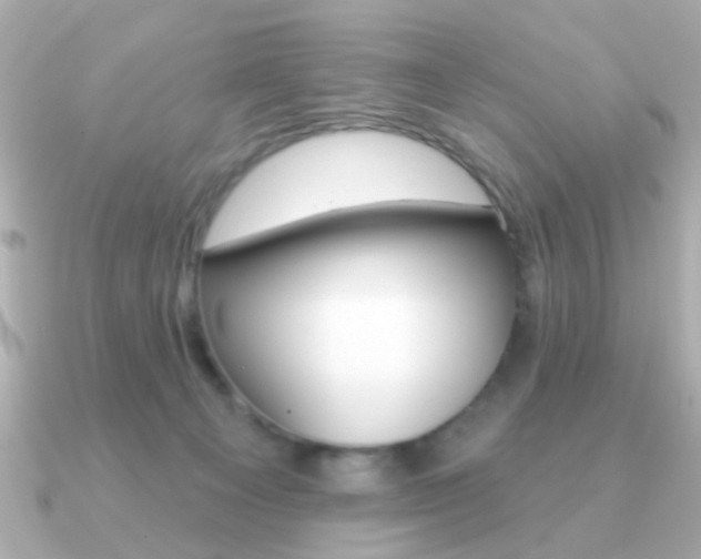 X0000091190129200708091029