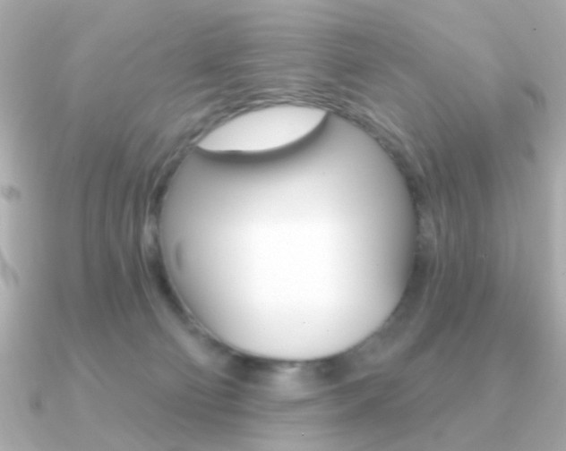 X0000091190130200708091029