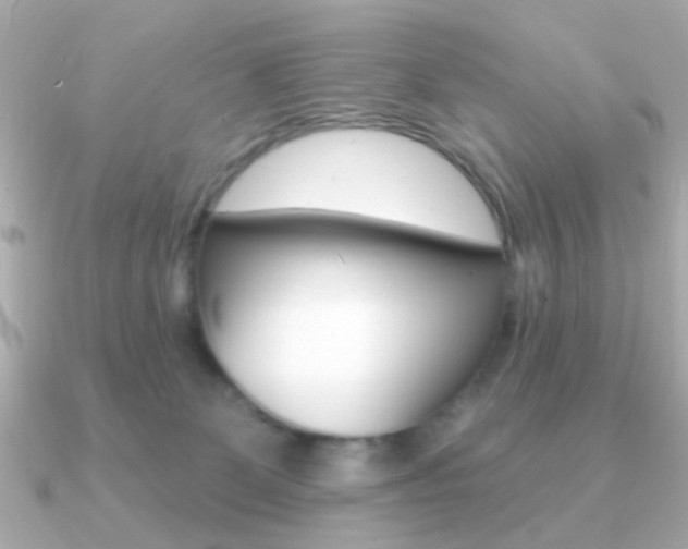 X0000091190131200708091029