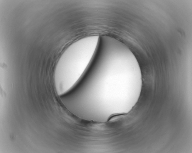 X0000091190132200708091029