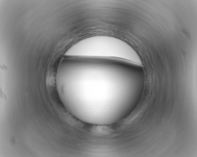 X0000091190137200708091029