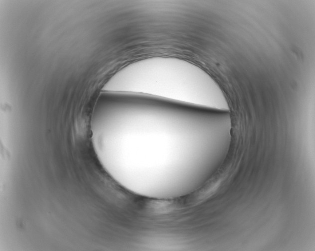 X0000091190139200708091029