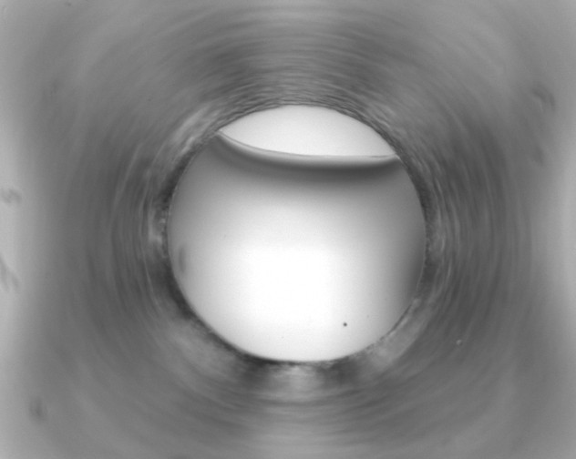 X0000091190140200708091029