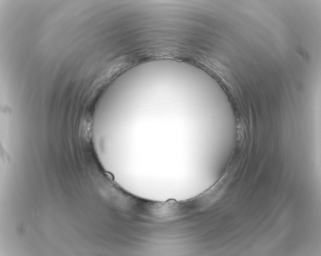 X0000091190142200708091029