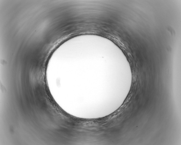 X0000091190146200708091028
