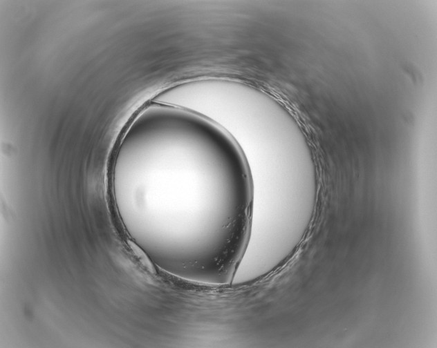 X0000091190148200708091028