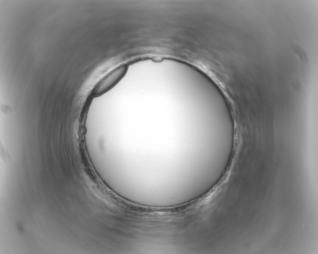 X0000091190151200708091028