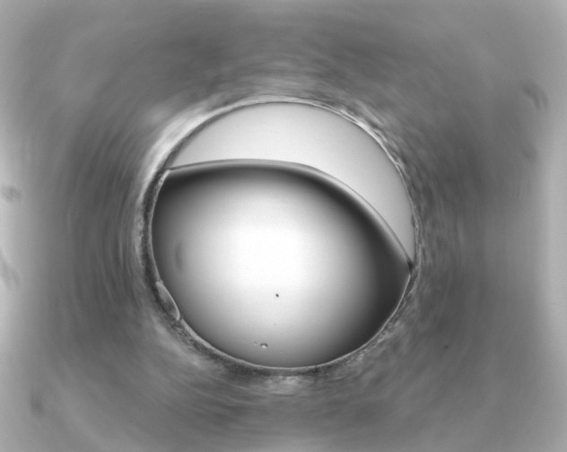 X0000091190152200708091028