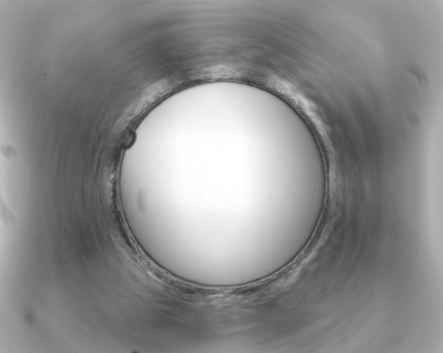 X0000091190153200708091028