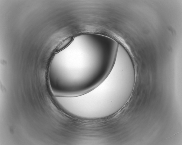 X0000091190154200708091028