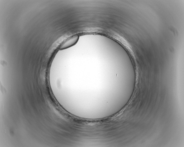 X0000091190155200708091028