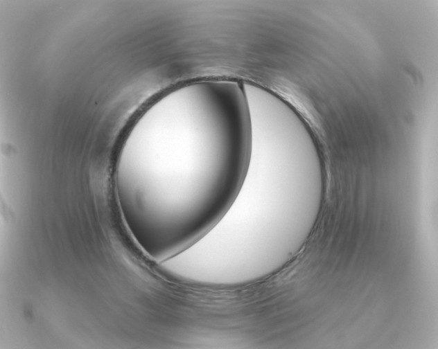 X0000091190156200708091028