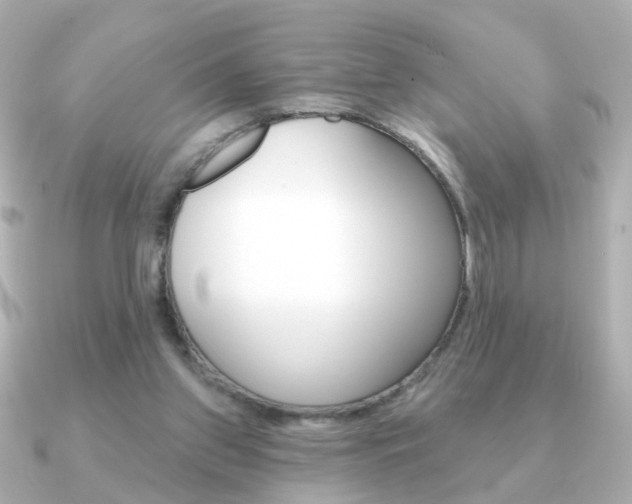 X0000091190157200708091028