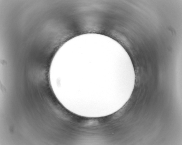 X0000091190162200708091028