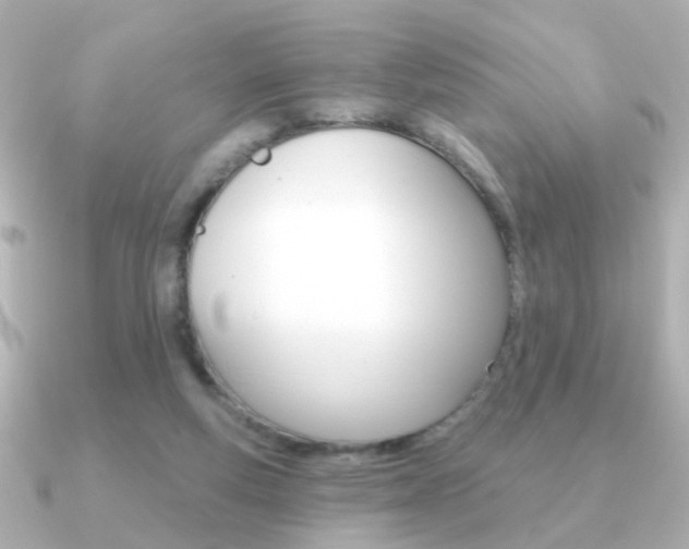X0000091190163200708091028