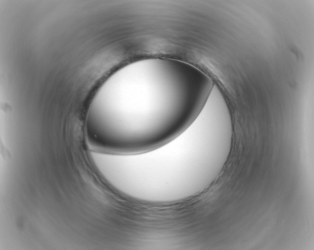 X0000091190164200708091028