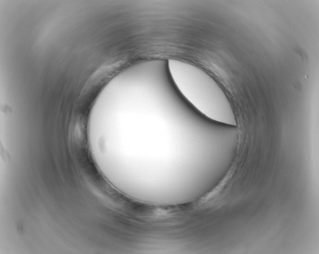 X0000091190166200708091028