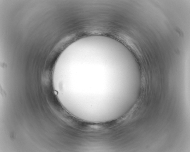 X0000091190167200708091028