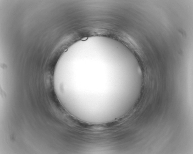 X0000091190169200708091028