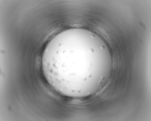 X0000091190171200708091028