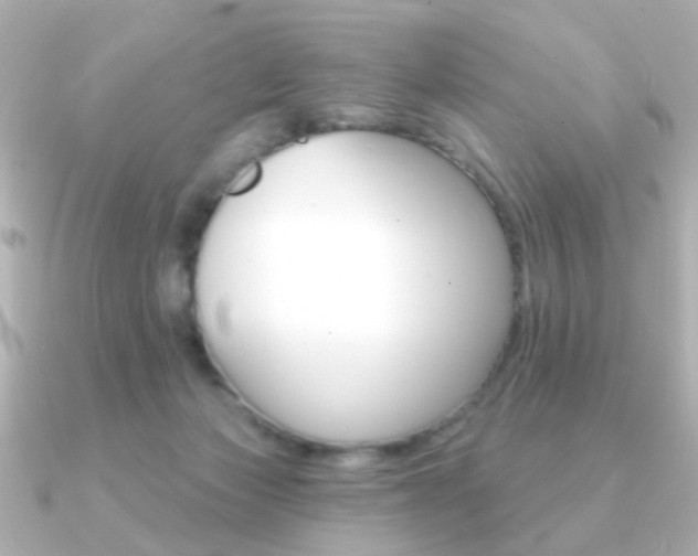 X0000091190173200708091028