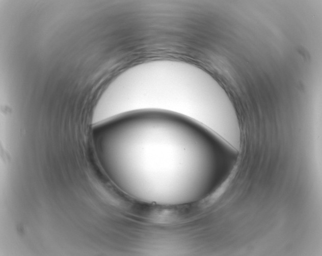 X0000091190174200708091028