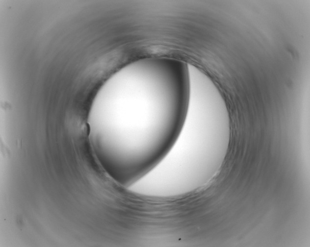 X0000091190176200708091028