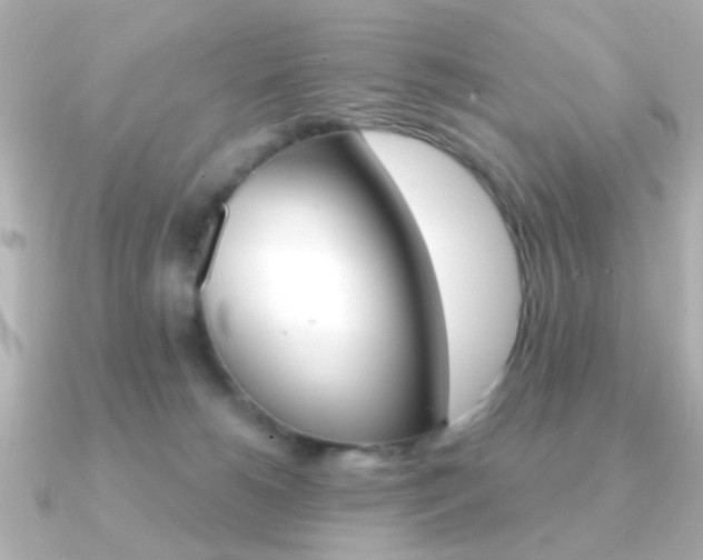 X0000091190180200708091029