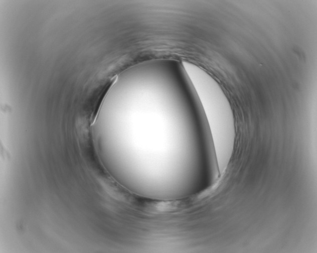 X0000091190184200708091029