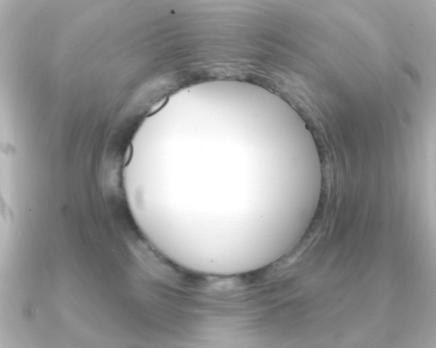 X0000091190185200708091029