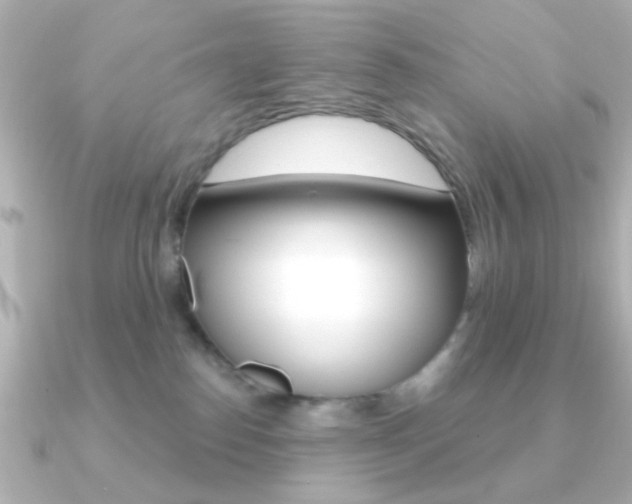 X0000091190186200708091029