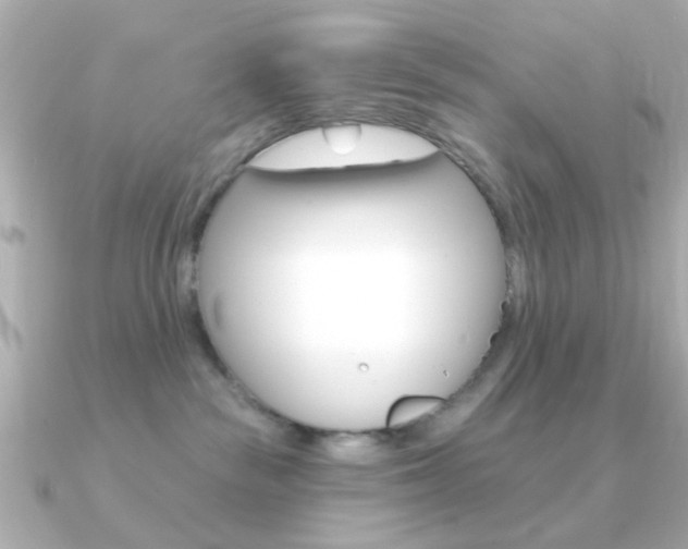 X0000091190189200708091029
