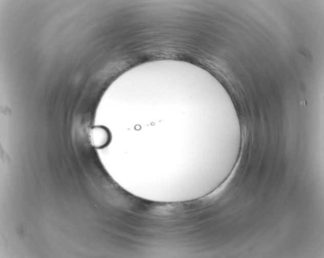 X0000091190190200708091029