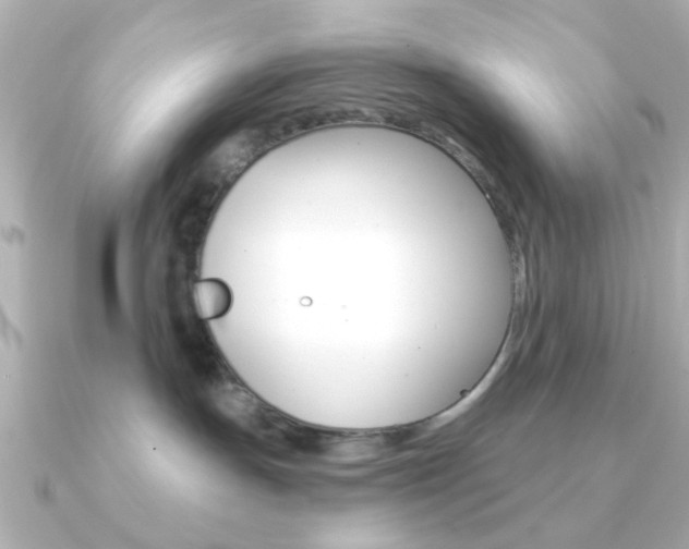 X0000091190191200708091029