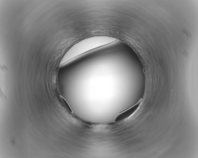 X0000091190192200708091029