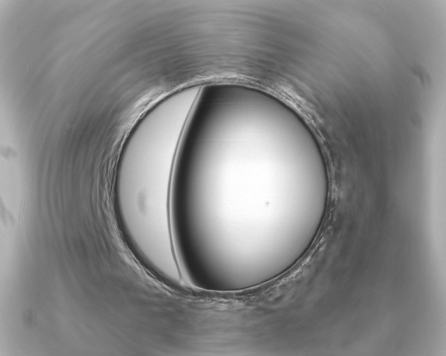 X0000091190193200708091028