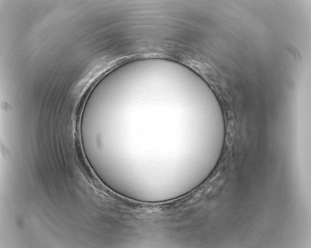 X0000091190194200708091028